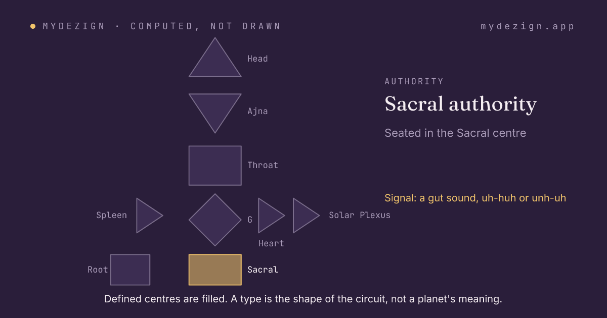 A bodygraph with the Sacral centre marked as the seat of sacral authority
