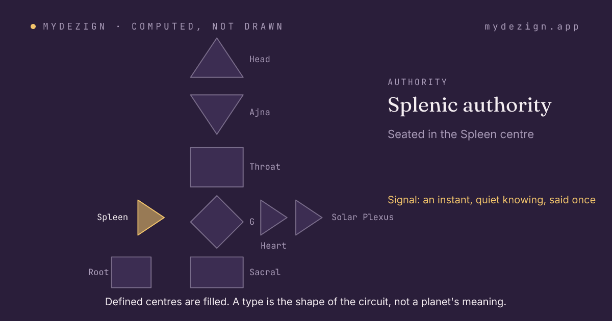 A bodygraph with the Spleen centre marked as the seat of splenic authority