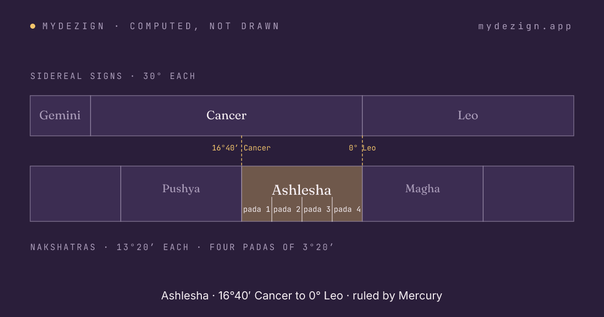 Diagram of Ashlesha within sidereal Cancer, with its four padas marked and neighbours Pushya and Magha